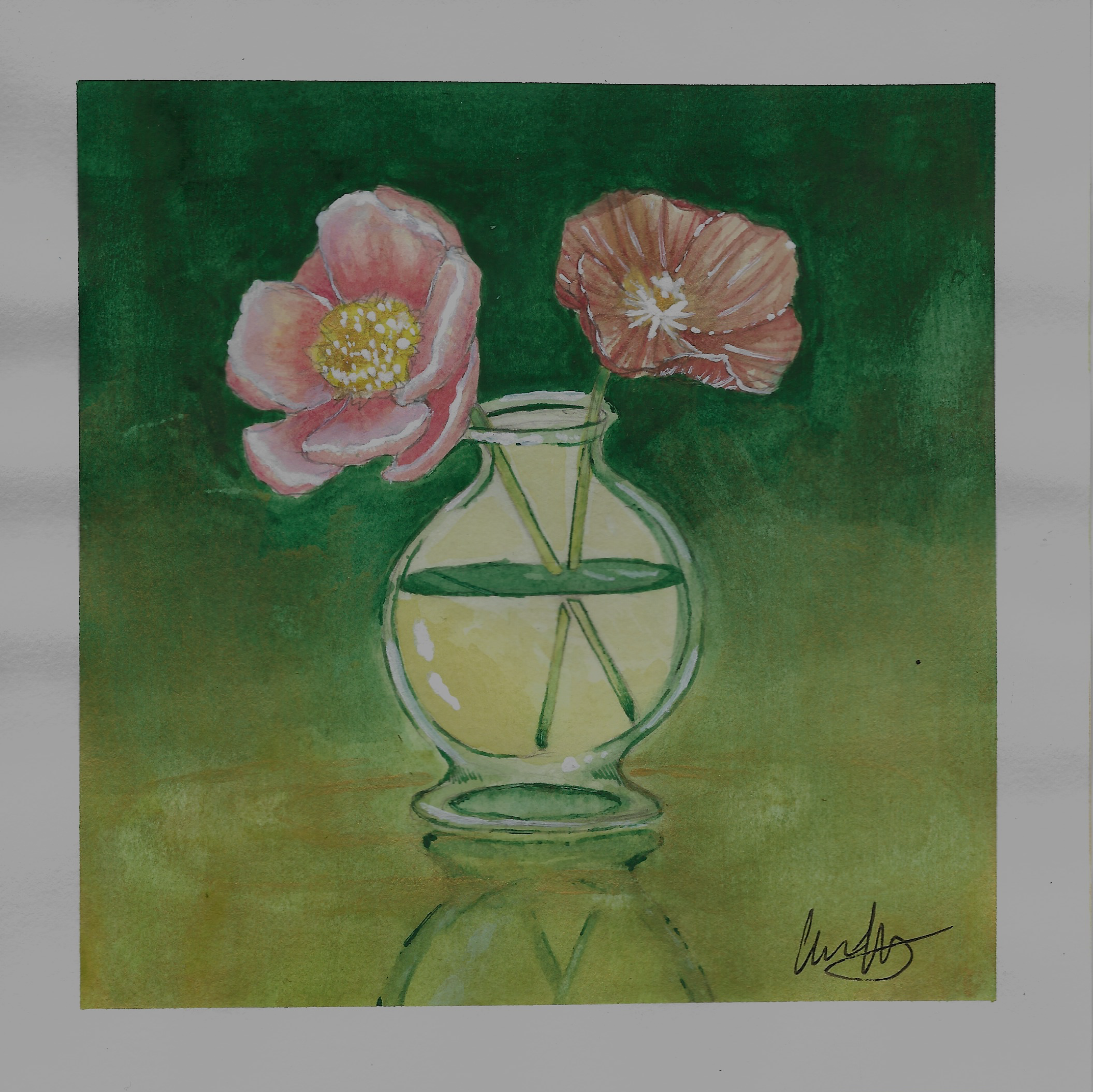 How Botanical Illustration Shaped My Artistic Journey