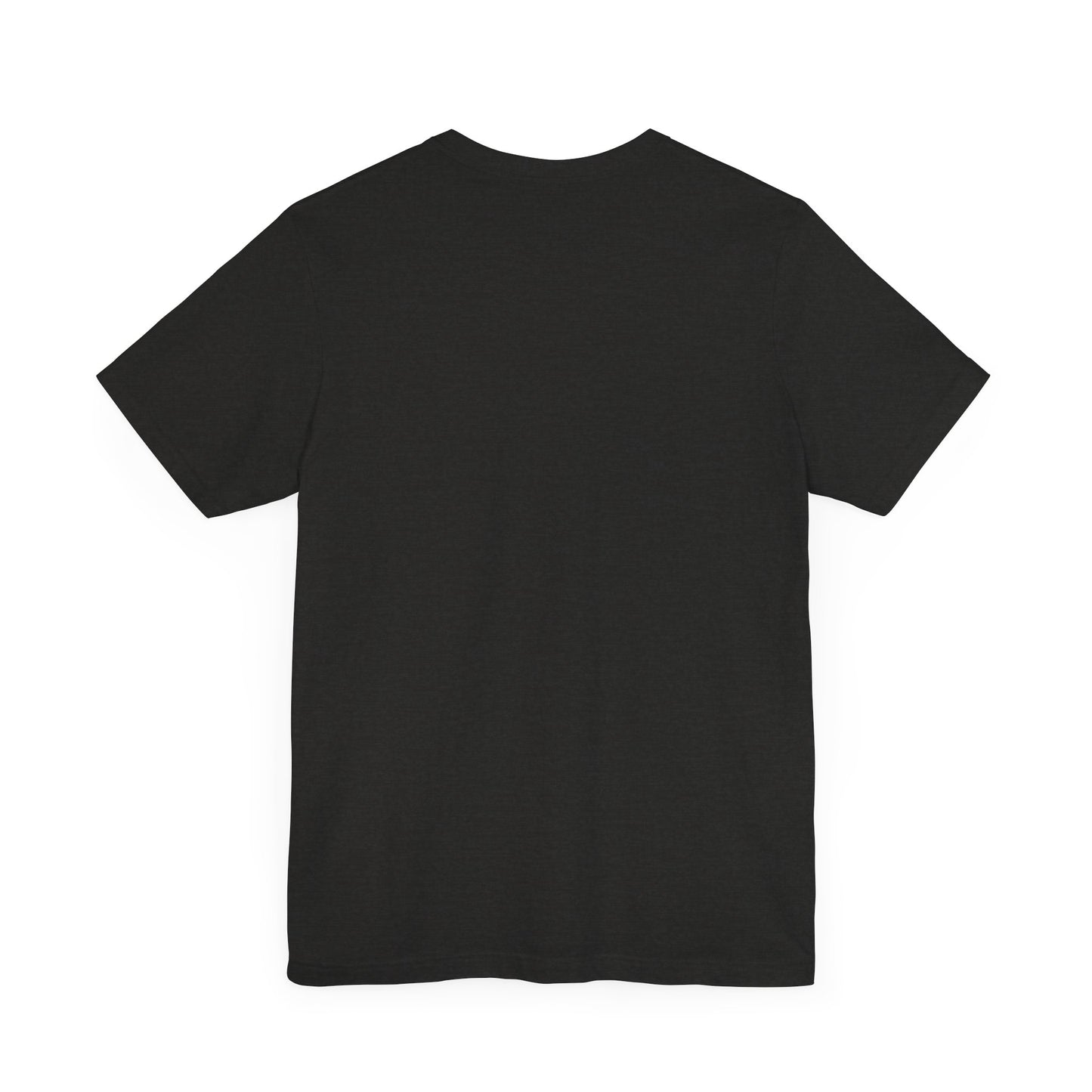 This is the ACI crewneck t-shirt in black heather. It is showcasing the back of it with no print just the color of the shirt.