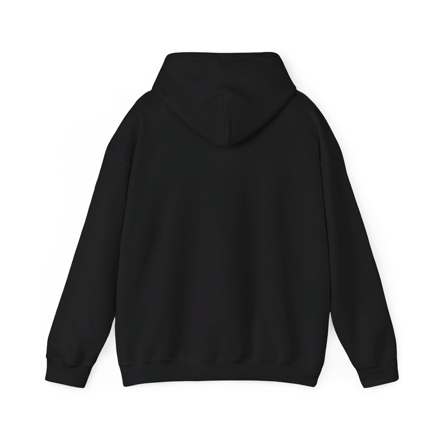 This is the Black Echeveria In Bloom Hoodie by Chris Foster Design. It comes in sizes S-5XL and this shows the back with the hood down. There is no illustrations or designs on the back. There is hemming on the wrists and the waists. The hoodie is against a white background.