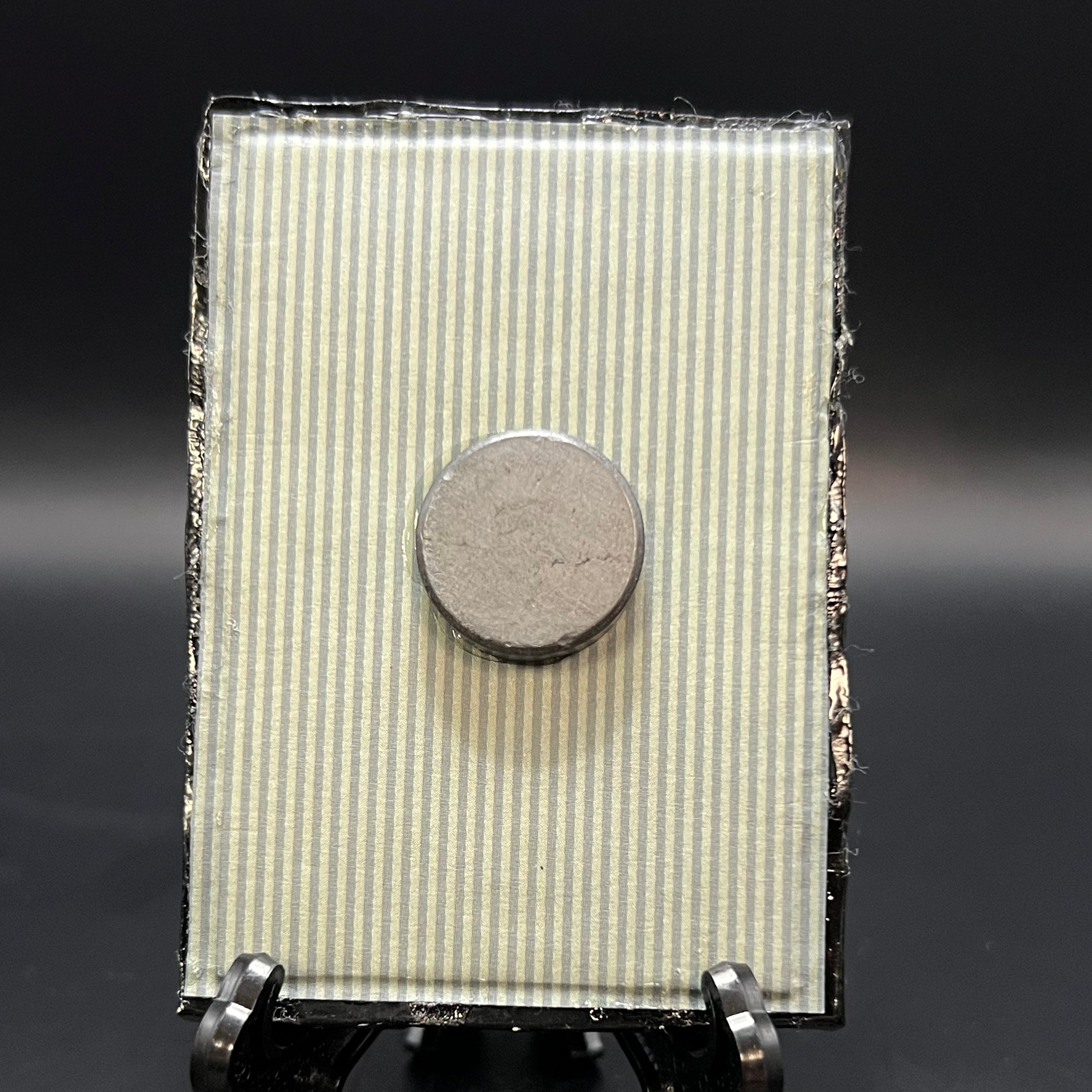 Close-up of Calasoma Wilcoxi beetle miniature painting’s textured wing details and vibrant colors highlighting artist’s