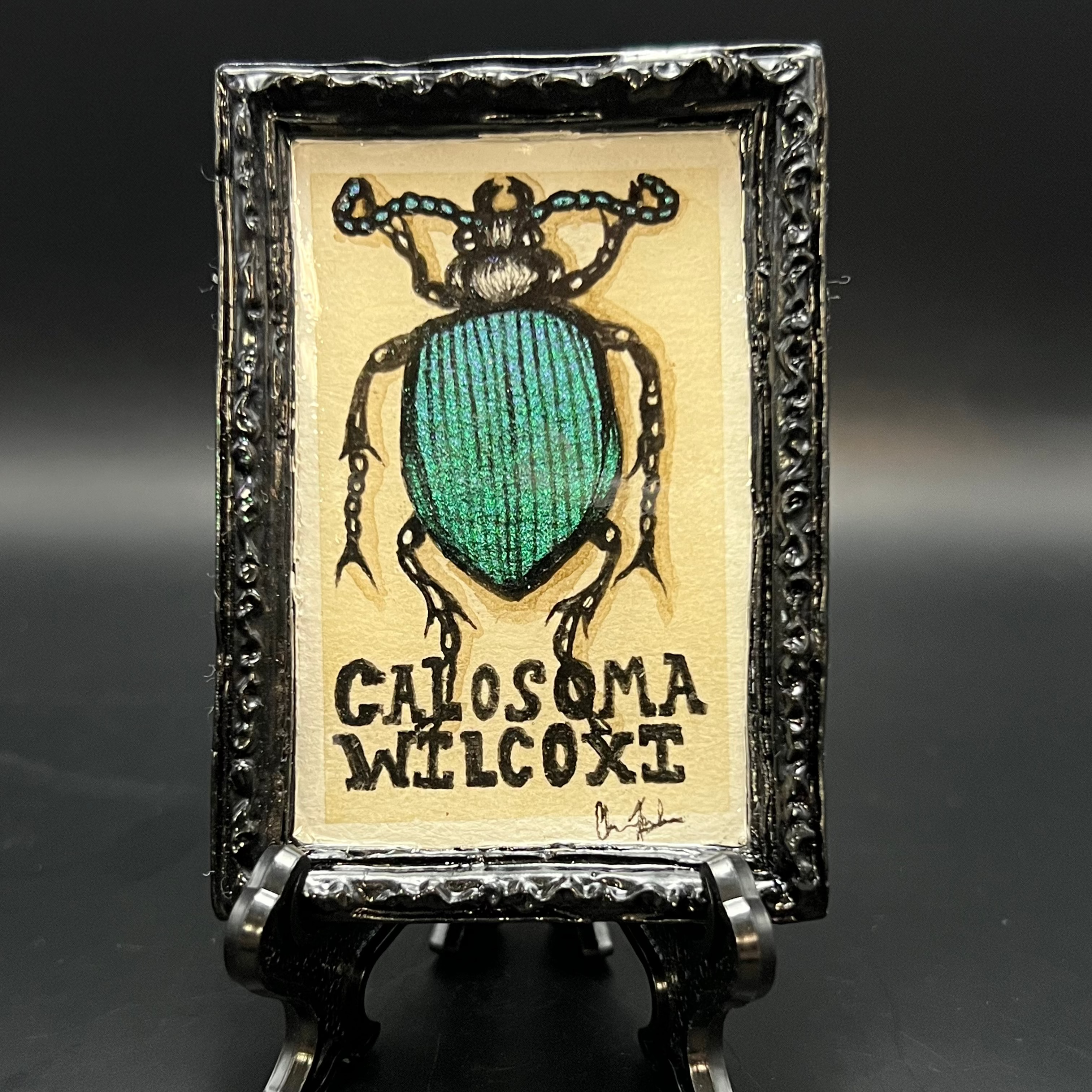 Calasoma Wilcoxi beetle mini painting on textured canvas, 4x6 inches, framed by The Art Collective International, signed by