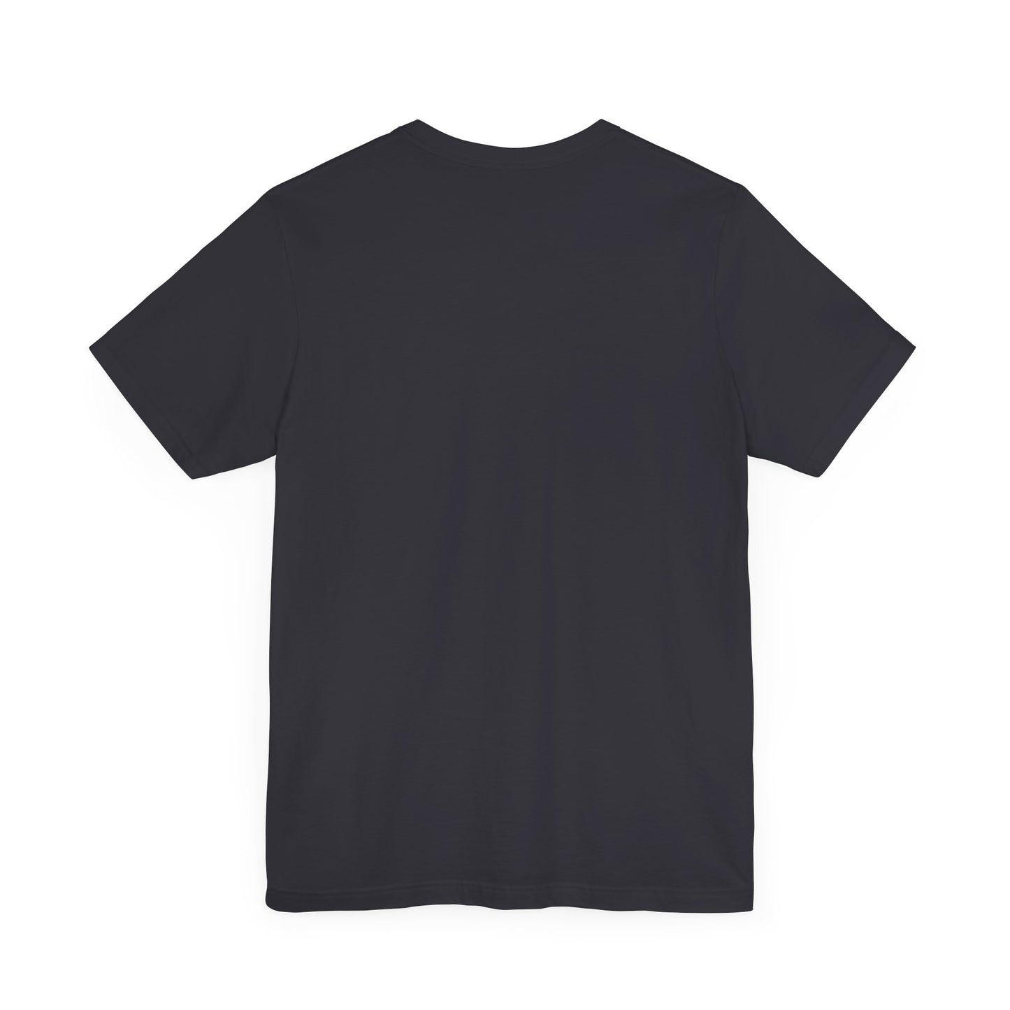 This is the ACI crewneck t-shirt in dark grey. It is showcasing the back of it with no print just the color of the shirt.