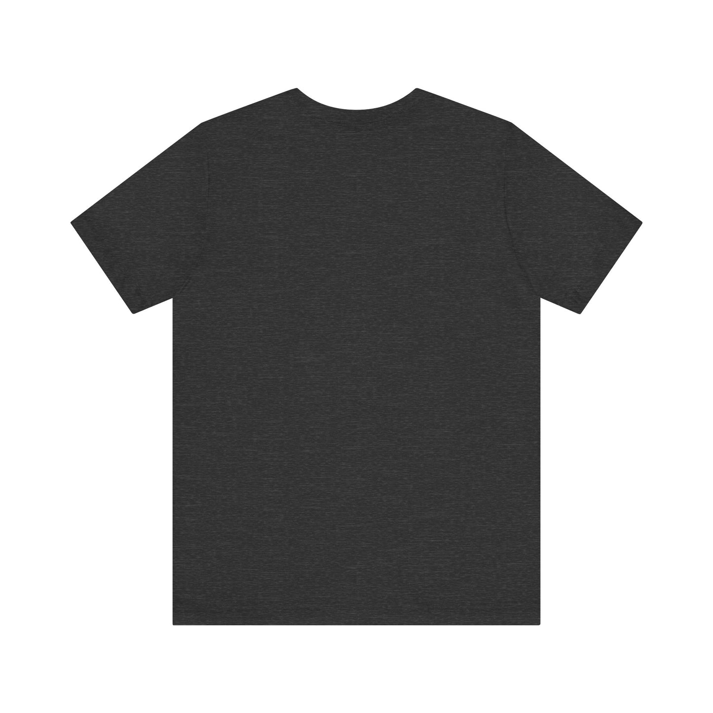 This is the ACI crewneck dark heather grey t-shirt. It is showcasing the back of it with no print just the color of the shirt. This is a flat back picture.