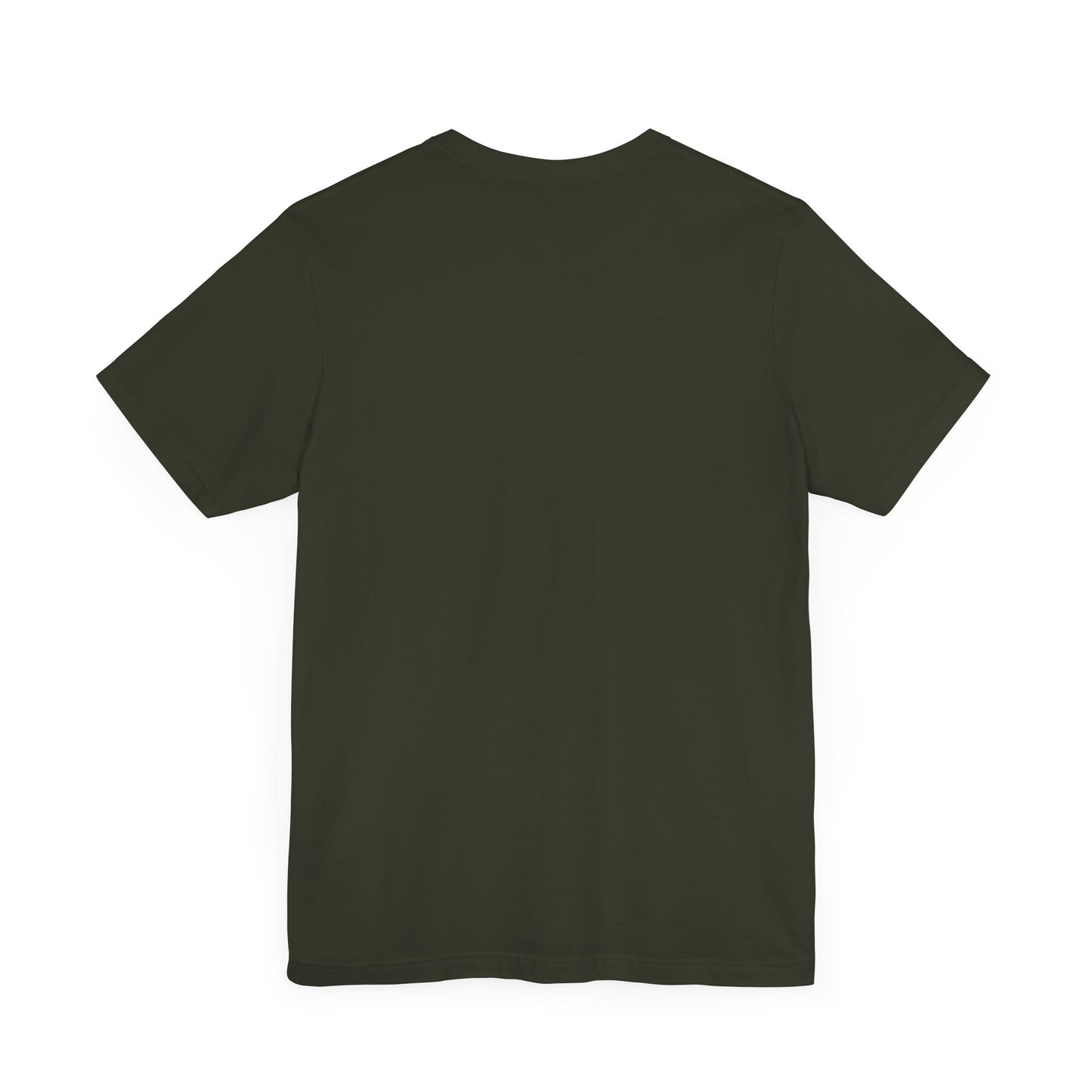 This is the ACI crewneck t-shirt in dark olive. It is showcasing the back of it with no print just the color of the shirt.