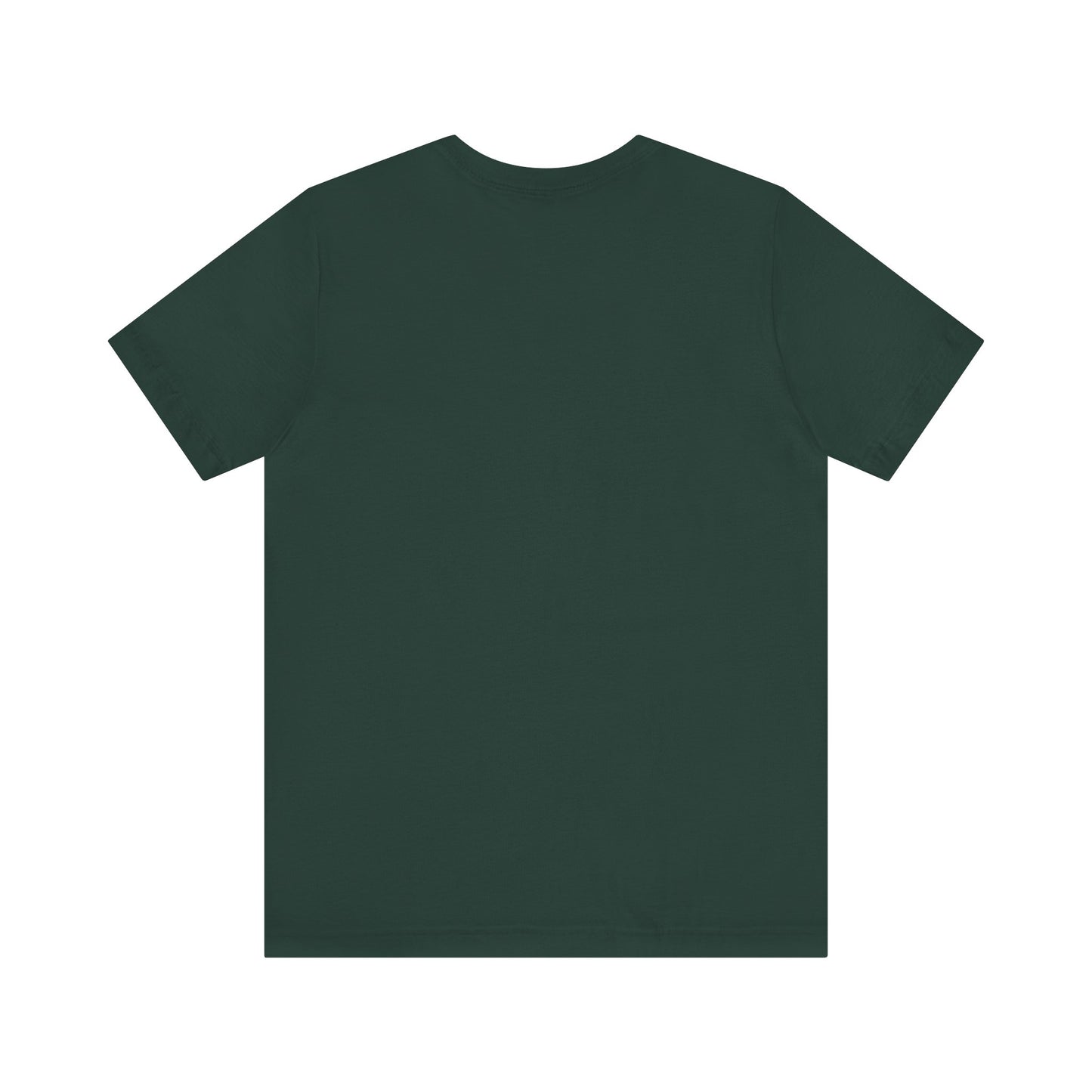 This is the ACI crewneck forest t-shirt. It is showcasing the back of it with no print just the color of the shirt. This is a flat back picture.