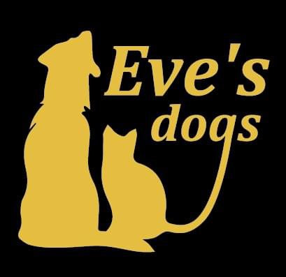 Giving Back - Adopt Eve's Dogs