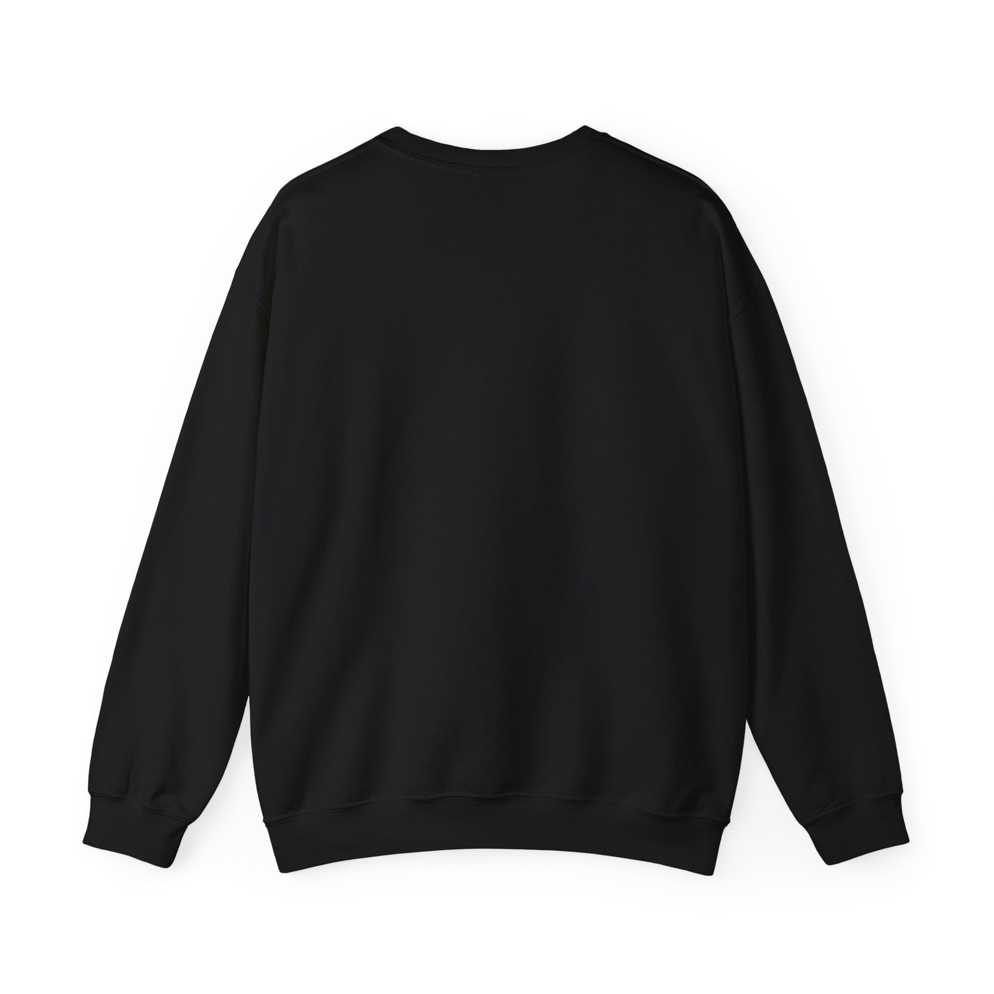 This is the Black Snow Valley Sweatshirt that is a crewneck coming in S - 5XL sizes. The image shows the back of it with the same color. There are hemmed parts by the wrists and along the bottom of the sweatshirt. 